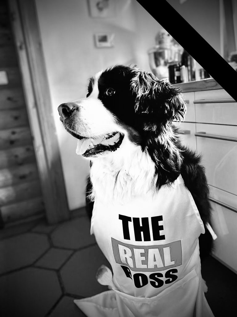 Prinz Oskar von den Sandb&auml;ren